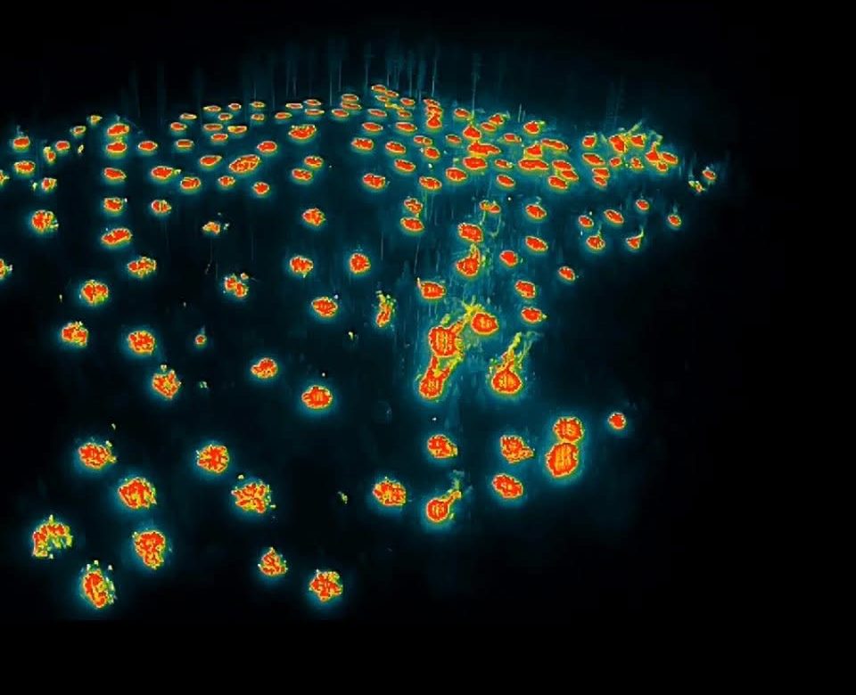 Thermal image of burning slash piles