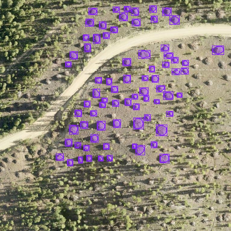 Aerial imagery with detected slash piles outlined