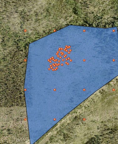 Study area polygon in ArcGIS with detected pile points